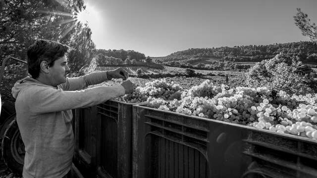 Domaine Roche-Audran