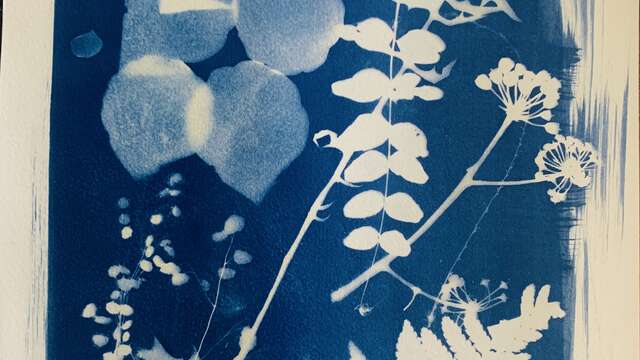 Atelier cyanotype