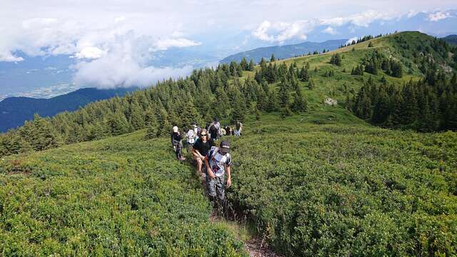 Hiking -  L'Art de Marcher