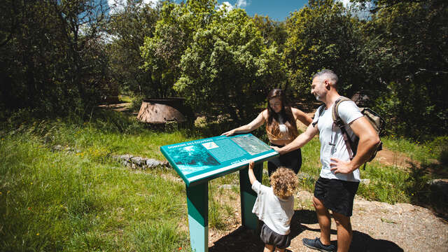 Nature Outing: Tell Me About the Verdon Region