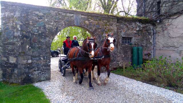 Les châteaux du Dauphiné en attelage