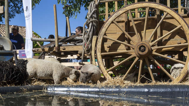 Les samedis du Ranch de la Mène