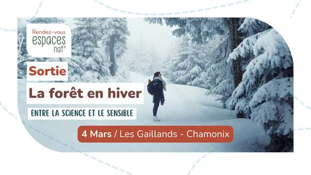 Sortie nature - La forêt en hiver