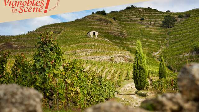 Parcours découverte "Les Secrets de l'Hermitage" - Maison Delas Frères