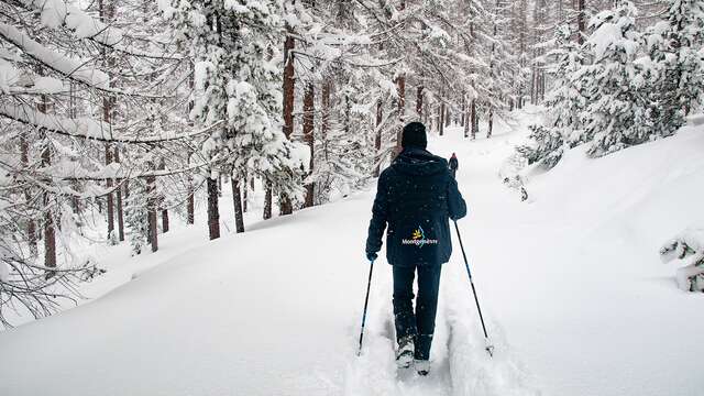 Initiation à la Marche Nordique