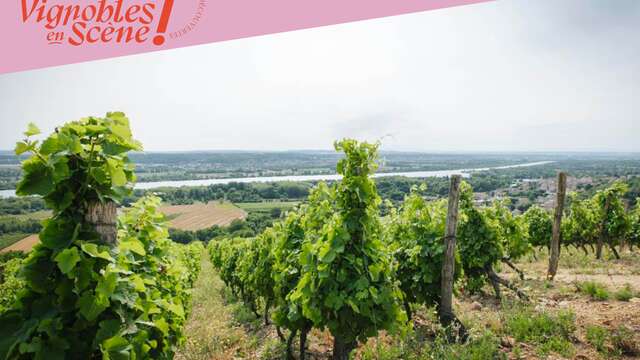 Wine Notes au Domaine Anthony Paret