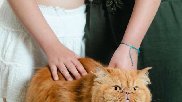 Villaggio Charlot: laboratorio con l'artista Laura Lafon