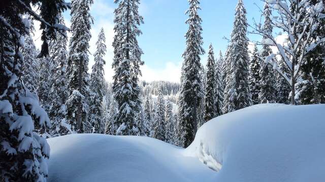 Snowshoe outing Relaxation initiation walk