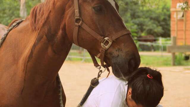 Haras de Tontouta