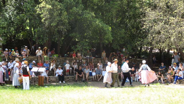 Fête des vendanges