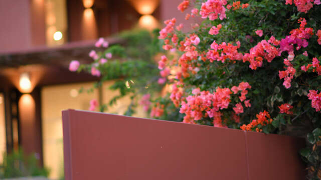 Nocturne im Niel-Museum