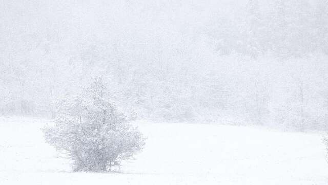 Projection-causerie : En attendant la neige