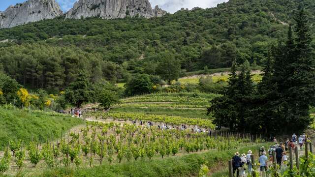 À la croisée des terroirs