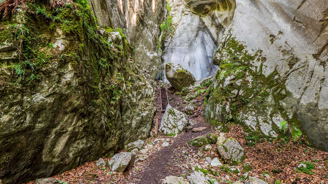 Itinéraire pédestre : rando'bus Les Gorges des Tines