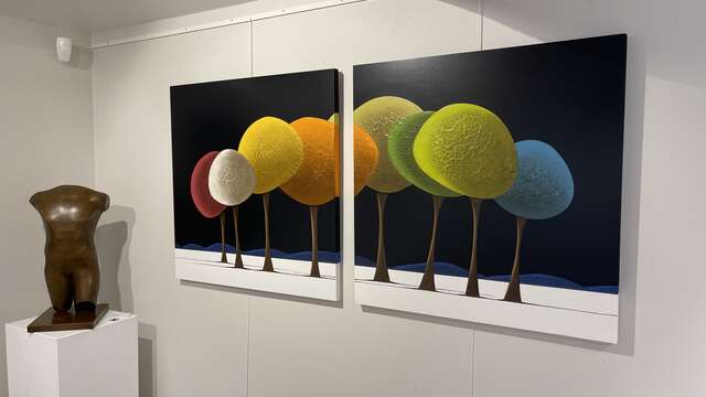 Galerie Deza - Villerest