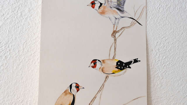 Atelier de création d'estampe - Atelier d'Ambo