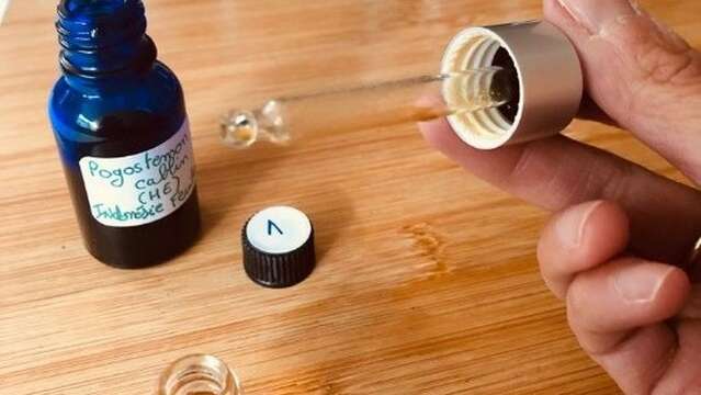 Visite olfactive en famille