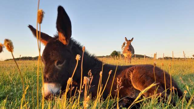 La ferme de l'âne vert cosmétiques bio