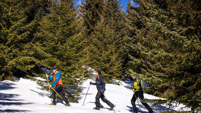 Détectives en raquettes