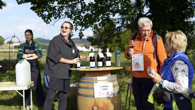 Les Vignes Réboussières