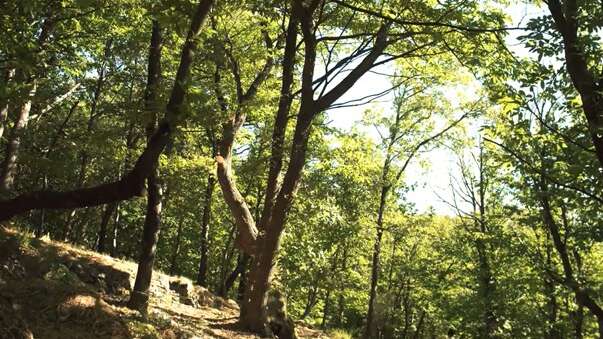 Les Jardins de Nouveau