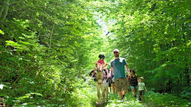 Spécial découverte : Balade familiale avec les ânes dans le Valgaudemar
