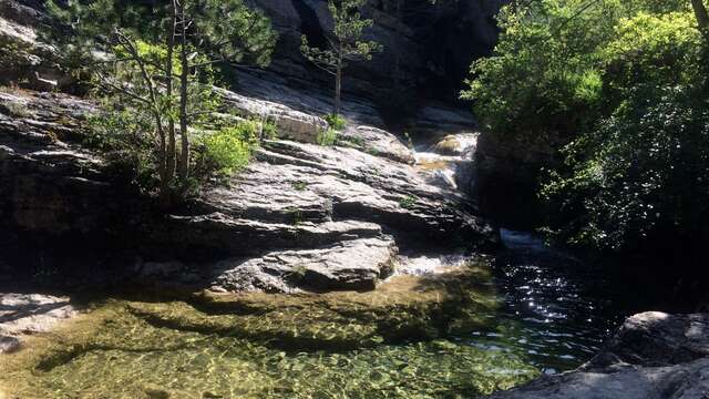 Randonnée aux Gorges du Riou et observation des chamois - Autres Versants