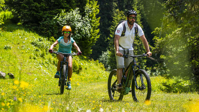 Mountain bike guidance & accommodation