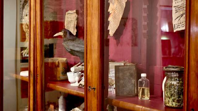 Visite guidée de l'exposition "Sacrées croyances !"