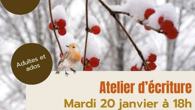 Schreibwerkstatt für Erwachsene und Teenager