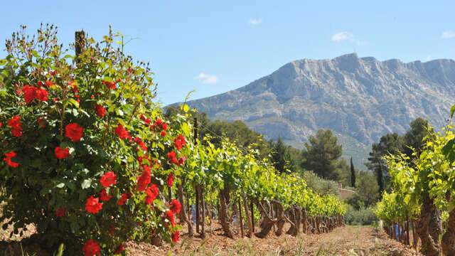 Zoom sur AOC Palette - Cuvée Quintessence  au Château Henri Bonnaud