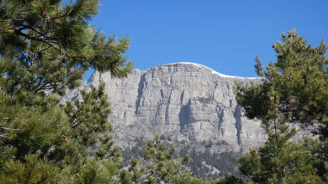 Tour de la roche des Brigands