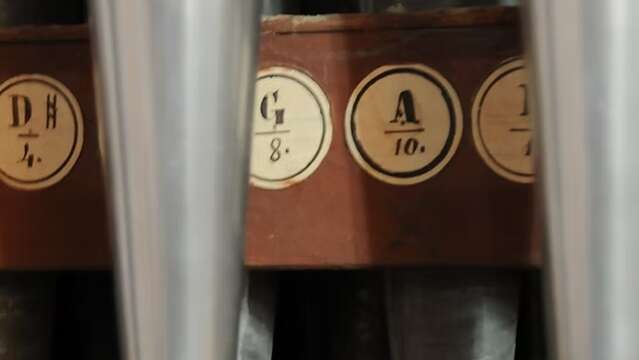 Festival international de la Route Royale des orgues : "If music be the food of love, play on"