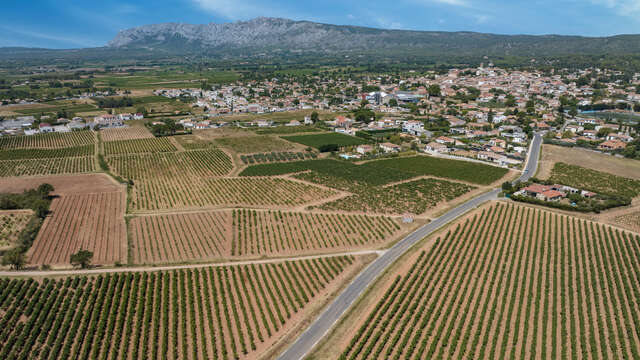 Montagne de la Sainte Victoire