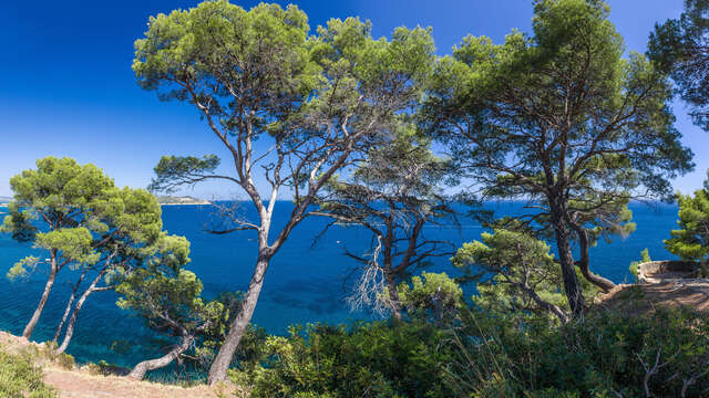 Massif du cap Sicié