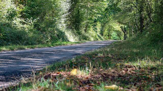 Rundweg zum Etang des Vavres in St André de Corcy