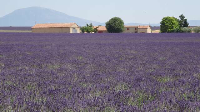 Les conférences environnement à La Londe les Maures