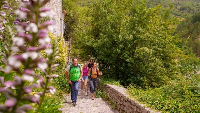 Festival „Ventoux Saveurs“ – Wanderungen und Essen am Fuße des Ventoux