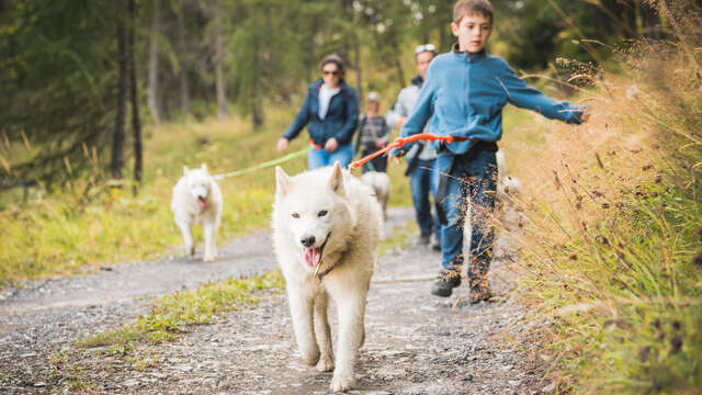 Husky-Randonnée