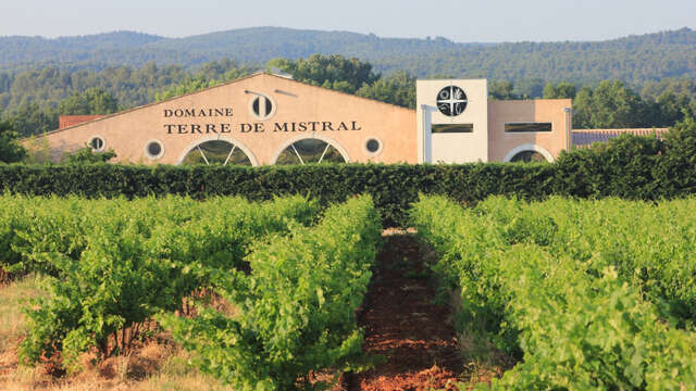 Visite guidée du vignoble Terre de Mistral, suivie d'une dégustation