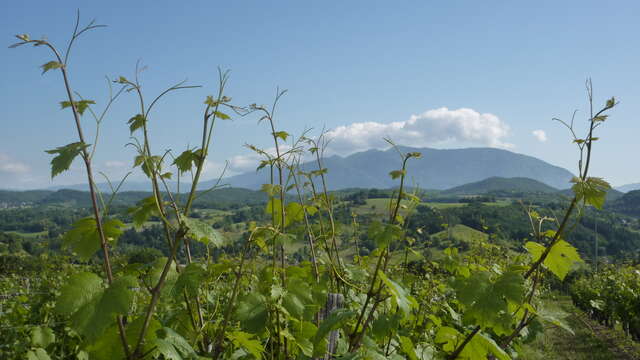 GAEC Maison Fusillet