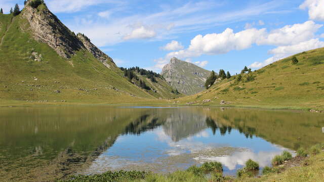 Itinéraire pédestre : Le Lac de Roy