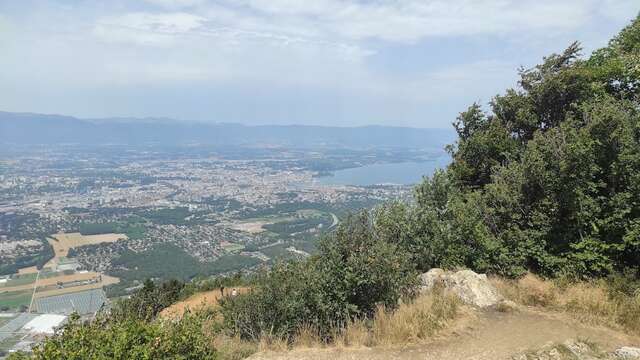 Picnic area - L'Observatoire du Salève