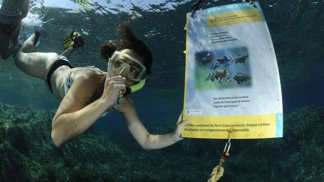 Sentier sous-marin de la Palud