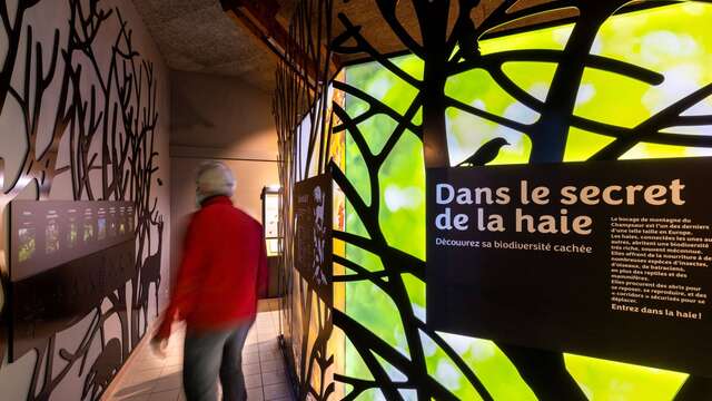 Exposition : Dans le secret de la haie
