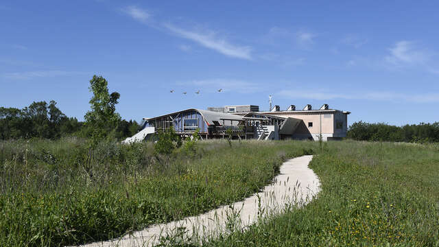 Visite commentée de l'exposition "Surexposition" de Fabrice Hyber - Maison départementale de la nature du Plan