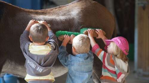 Geburtstag auf dem Bauernhof von Chosal - "Ein Nachmittag auf dem Bauernhof