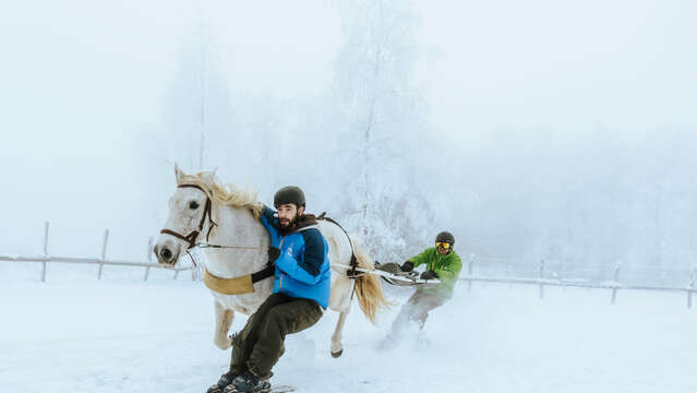 Séance de ski-Joëring