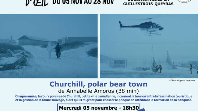 Clin d'œil  - Churchill Polar Bear Town