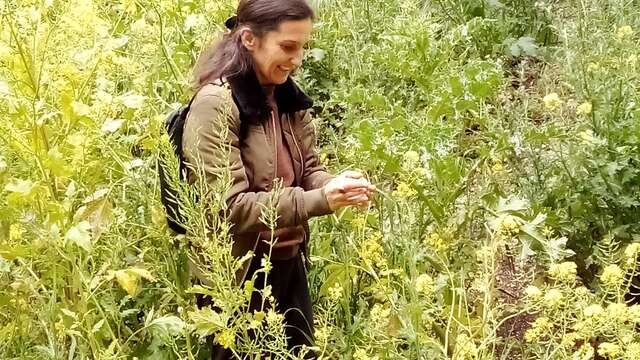 Apéro balade Plantes Sauvages & Comestibles - 1/2 journée